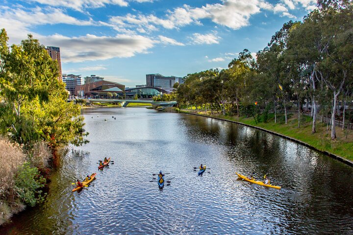 Adelaide City Kayak Tour - Accommodation Adelaide