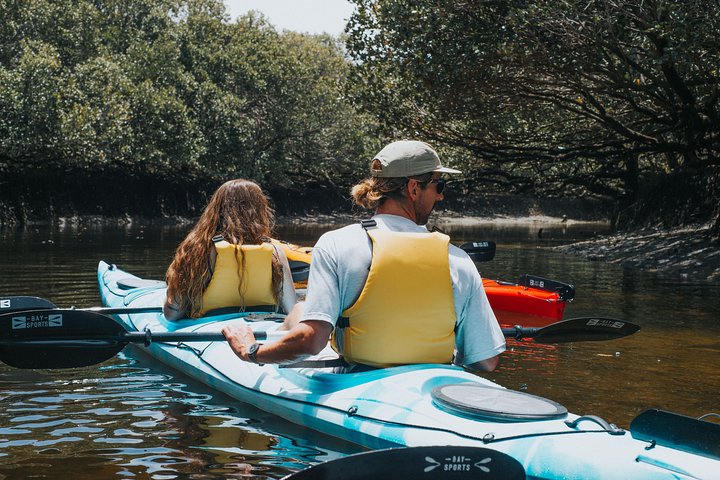 Kayak Tour In Adelaide Dolphin Sanctuary - thumb 2