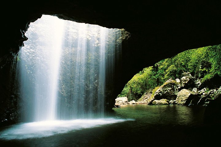 Natural Bridge  Springbrook Waterfalls Tour - Tourism Noosa