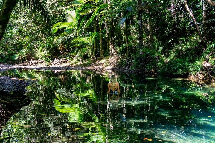 Daintree And Cape Tribulation Full Day Guided Tour - thumb 1