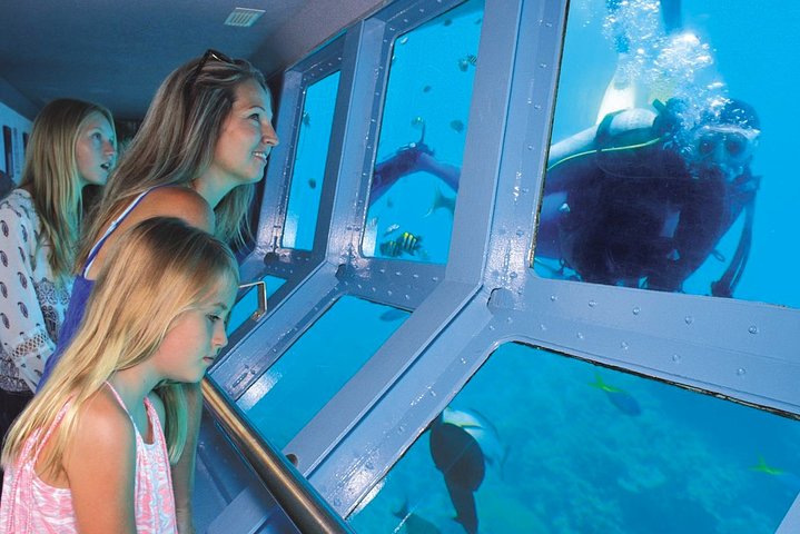 Quicksilver Outer Great Barrier Reef Snorkel Cruise From Port Douglas - Accommodation Cairns 1