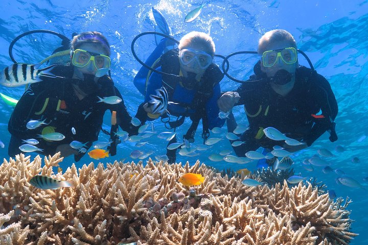 Quicksilver Outer Great Barrier Reef Snorkel Cruise From Port Douglas - Accommodation Cairns 4