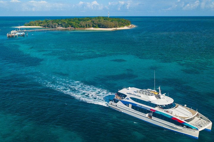 Ultimate 3-Day Great Barrier Reef Cruise Pass - thumb 4