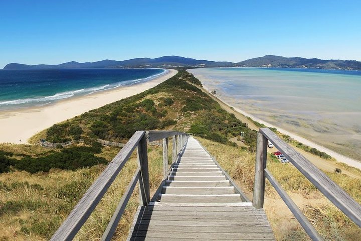 Bruny Island Private Charter Service - thumb 4