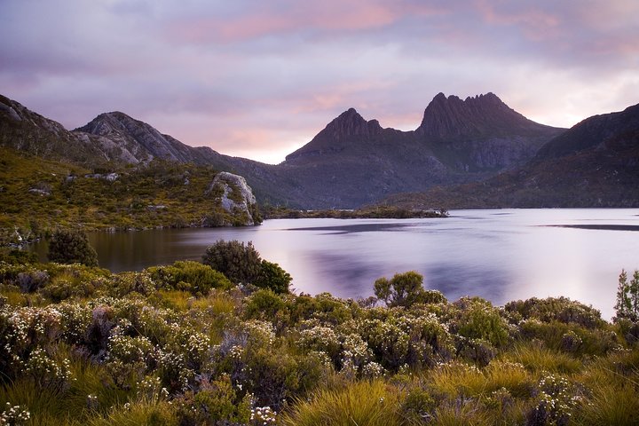 Cradle Mountain Private Charter Service - thumb 1