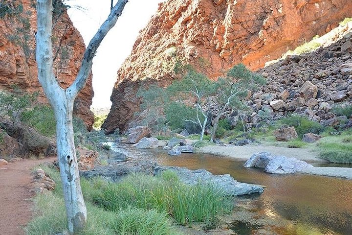 Alice Springs, Uluru Ayers Rock & Kings Canyon 8 Days Touring Package - thumb 2