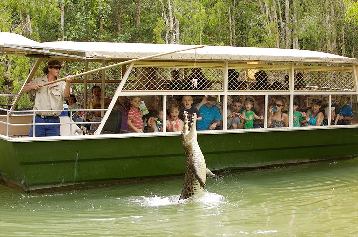 Hartley's Crocodile Adventure Half-Day Tour - Accommodation in Surfers Paradise