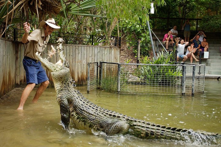 Hartley's Crocodile Adventure Half-Day Tour - thumb 2