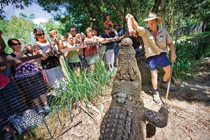 Hartley's Crocodile Adventure Half-Day Tour - thumb 4