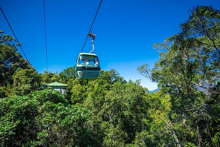 Skyrail Rainforest Cableway Day Trip From Cairns - thumb 1