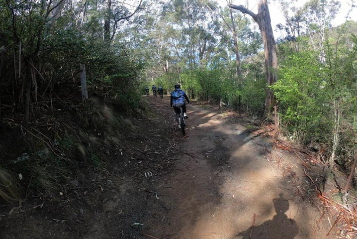 Explore Downhill Mountain In 3-Hour Bike Tour From Hobart - thumb 3