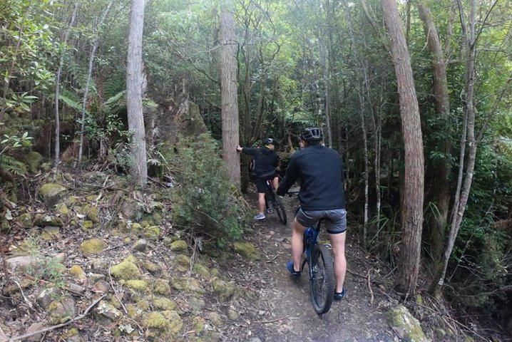 Explore Downhill Mountain In 3-Hour Bike Tour From Hobart - thumb 4