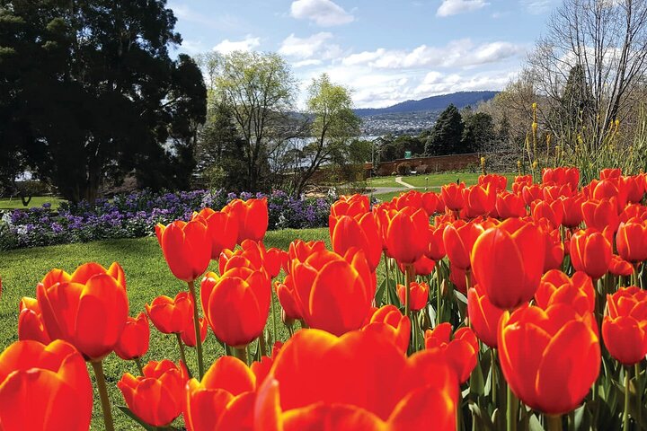 Hobart City Sightseeing Tour Including MONA Admission - thumb 4