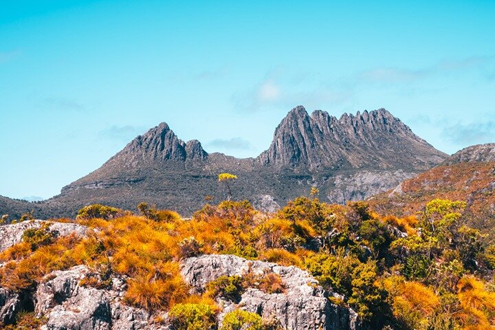 Cradle Mountain National Park Day Tour From Launceston - thumb 1