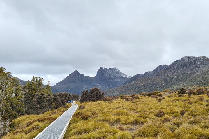 Cradle Mountain National Park Day Tour From Launceston - thumb 2