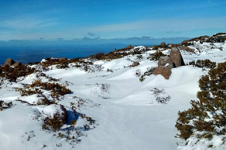 Mt Wellington Ultimate Experience Tour From Hobart - thumb 4