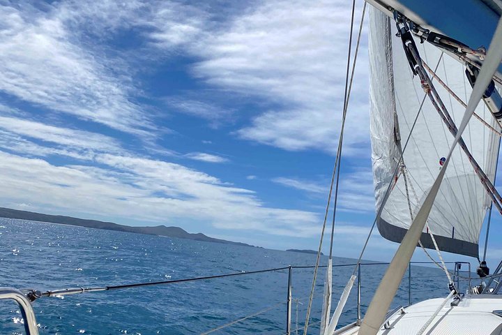 Sailing Curlew Escape On Moreton Bay - thumb 4
