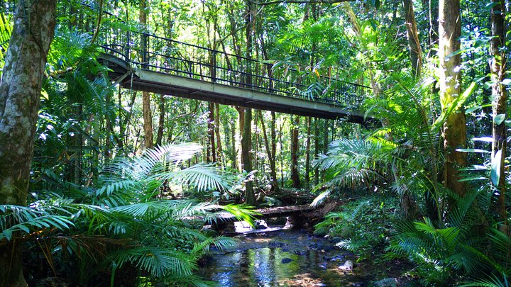 Double Pack-Ancient Rainforest and Waterfalls - Surfers Paradise Gold Coast