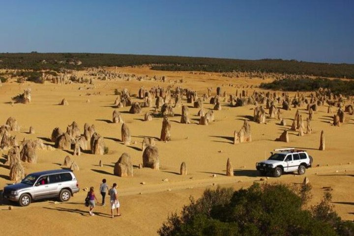 1-Day Pinnacles and Yanchep Tour from Perth including Fish and Chips Lunch - Accommodation Kalgoorlie