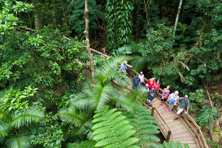3 Day Great Barrier Reef, Daintree Rainforest And Outback Chillagoe Tour - thumb 2
