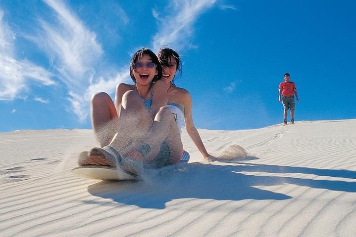 Pinnacles Desert, Koalas And Sandboarding 4WD Day Tour From Perth - Broome Tourism 3