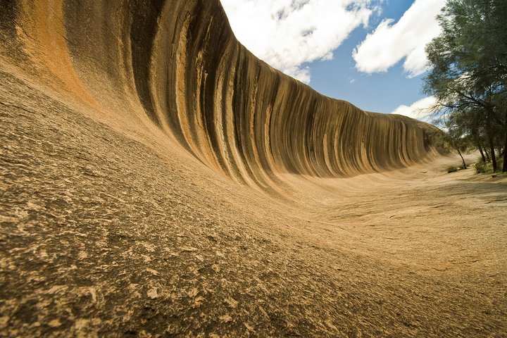 Wave Rock York Wildflowers and Aboriginal Cultural Day Tour from Perth - Southport Accommodation