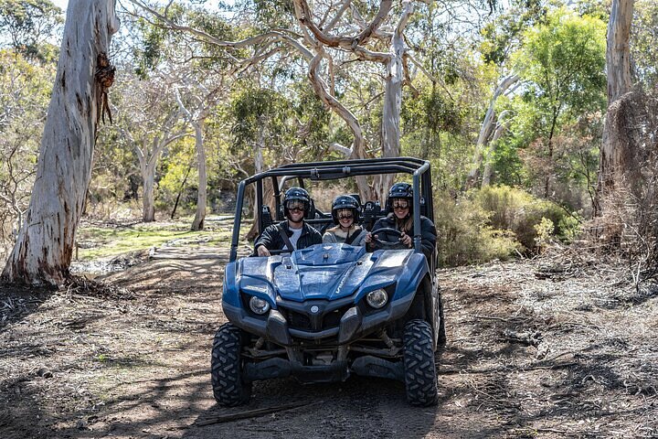 Small-Group Buggy Tour at Little Sahara with Guide - Port Augusta Accommodation