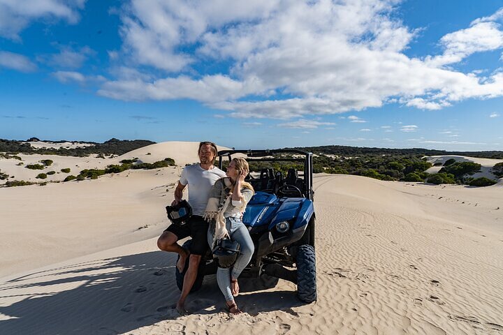 Small-Group Buggy Tour At Little Sahara With Guide - Find Attractions 2