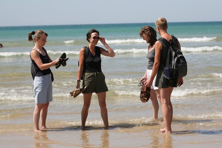 Great Ocean Road Small-Group Ecotour From Melbourne - Attractions Melbourne 3