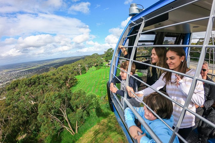 Peninsula Hot Springs Tour With Restaurant Lunch & Gondola Ride - Accommodation Australia 0