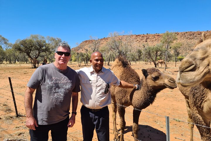 West MacDonnell Ranges Half-Day Small-Group Tour With Camel Ride - thumb 1