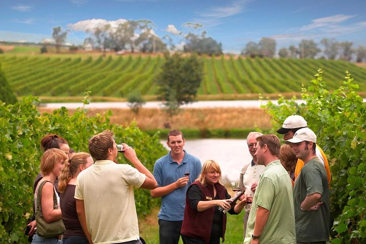 Yarra Valley Wine and Winery Tour from Melbourne - Melbourne Tourism