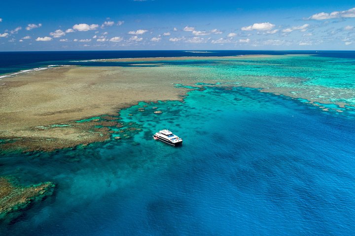 Calypso Outer Great Barrier Reef Cruise From Port Douglas - tourismnoosa.com 1