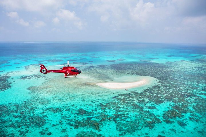 Private Helicopter Tour: Reef Island Snorkeling And Gourmet Picnic Lunch - thumb 5