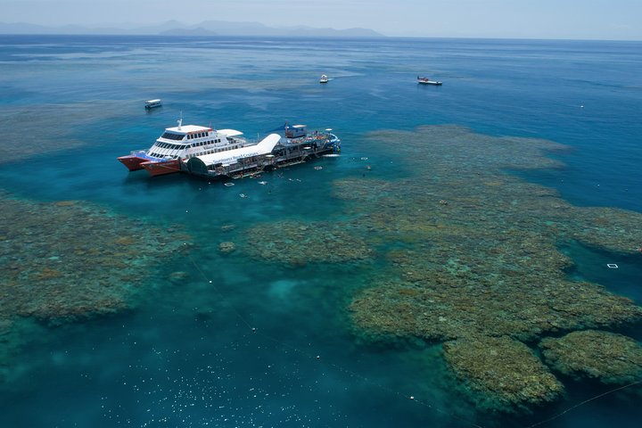 Cruise to Moore Reef Pontoon and Return Helicopter Flight from Cairns - Accommodation Airlie Beach