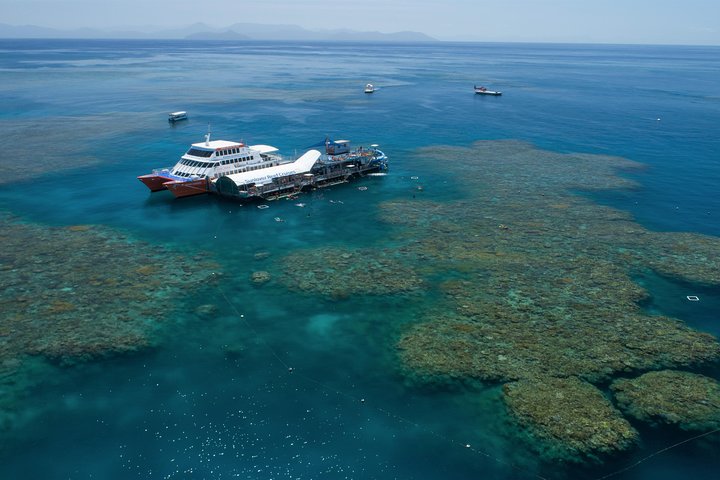 Scenic Helicopter Flight To Moore Reef And Return Snorkeling Cruise From Cairns - Accommodation Brisbane 5