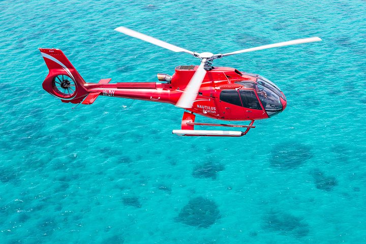 Helicopter And Cruise Packages From Port Douglas - thumb 5