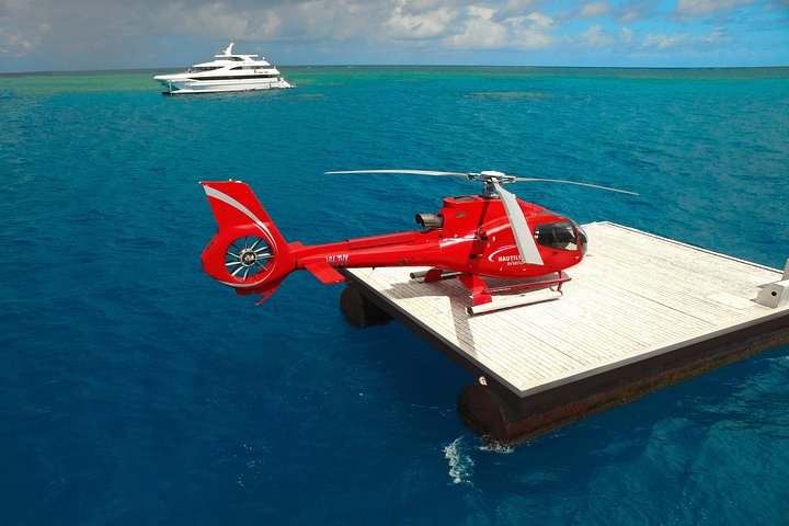 Cruise out and Cruise return plus 10 minute Scenic Flight - Palm Beach Accommodation