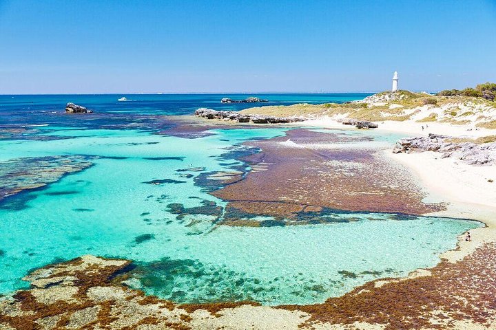 Rottnest Island All-Inclusive Grand Island Tour From Fremantle - thumb 1