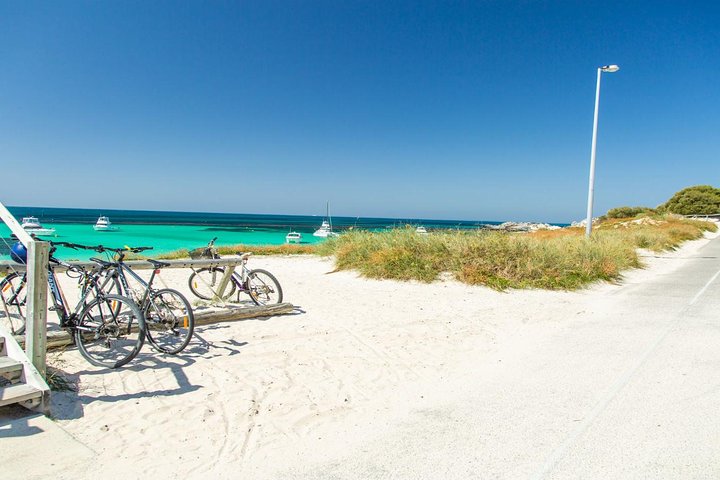 Rottnest Island Bike, Snorkel & Ferry Package From Perth - thumb 2