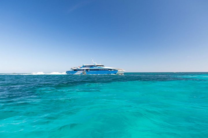 Rottnest Island Bayseeker Day Trip from Perth - Southport Accommodation