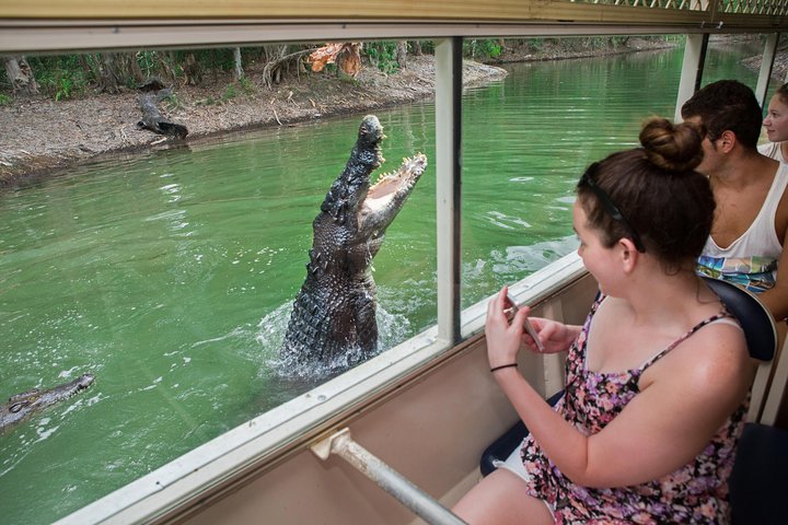 Hartley's Crocodile Adventures Day Trip From Cairns - Palm Beach Accommodation 3