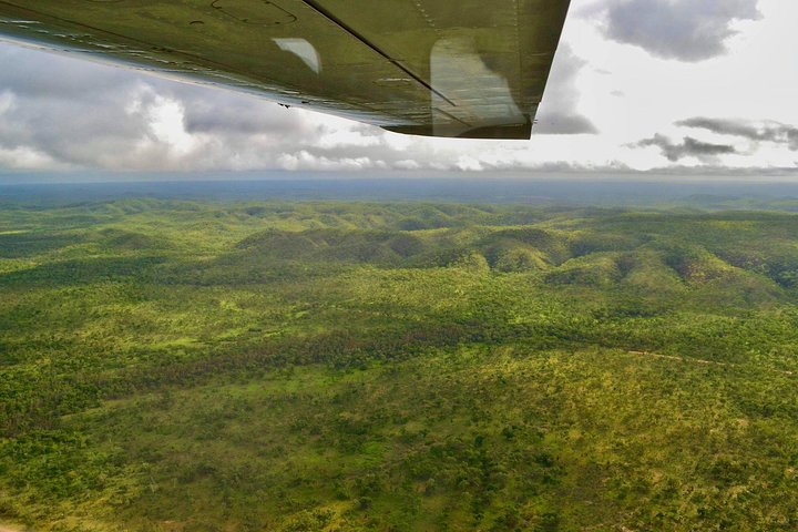 Litchfield Park & Daly River - Scenic Flight From Darwin - thumb 2