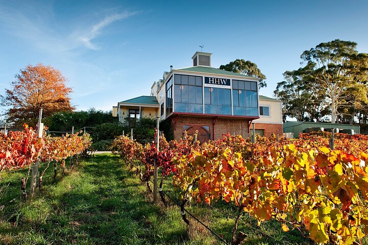Adelaide Hills Food, Wine, Cheese, & Chocolate - Private Day Tour - thumb 3