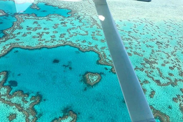 Whitsunday Islands 1-Hour Reef Scenic Helicopter Tour - Accommodation Whitsundays 3