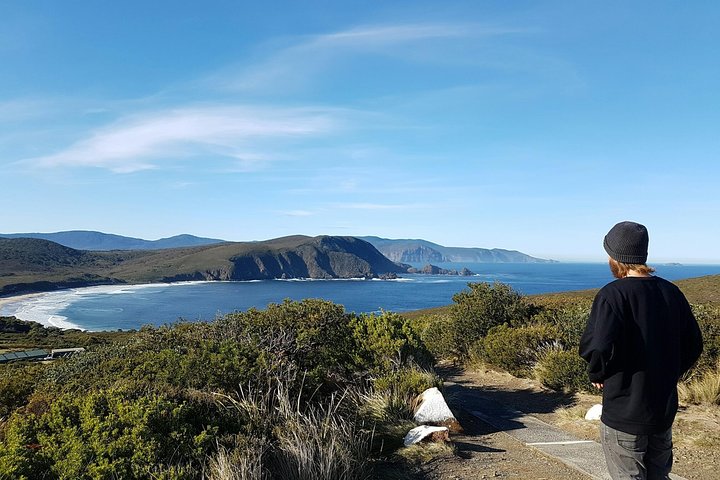 Small-Group Day Trip From Hobart To Bruny Island - Accommodation Tasmania 0