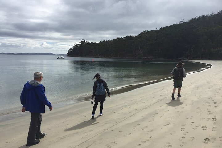 Small-Group Day Trip From Hobart To Bruny Island - Accommodation Tasmania 1