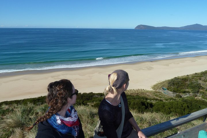 Small-Group Day Trip From Hobart To Bruny Island - Accommodation Tasmania 3