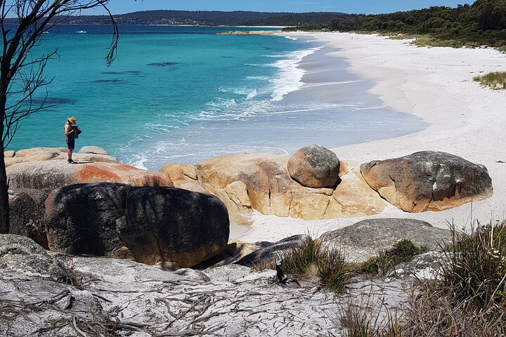 2-Day Tas East Coast Escape Tour Including Bay Of Fires, Wineglass Bay & Devils - thumb 4