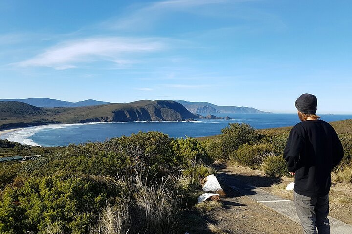 4-Day Fabulous Tasmania Tour Wineglass Bay Port Arthur Devils  Bruny Island - Accommodation Tasmania